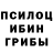 Галлюциногенные грибы мицелий DMG8