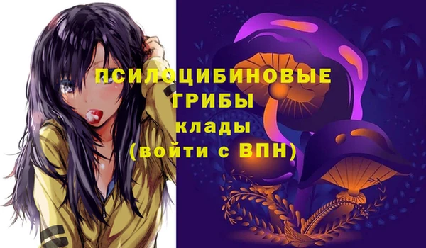 гидропоника Арсеньев