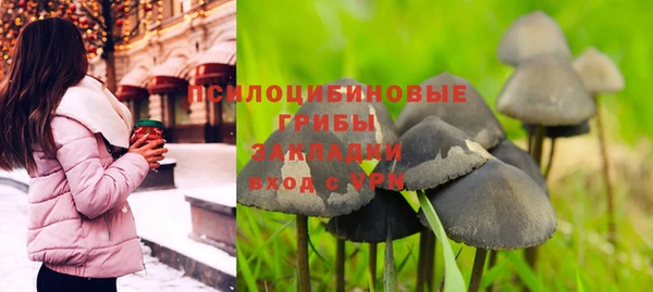 а пвп мука Аркадак