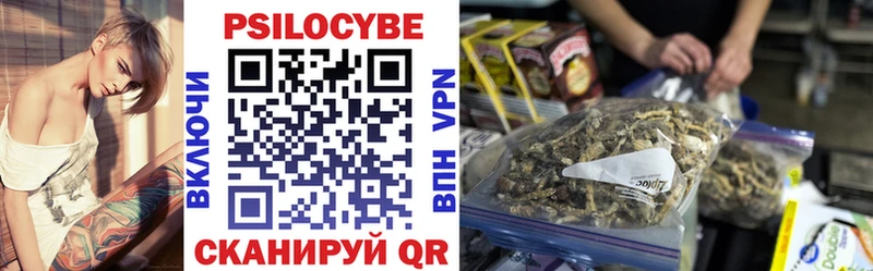 Галлюциногенные грибы Psilocybine cubensis  Яровое 